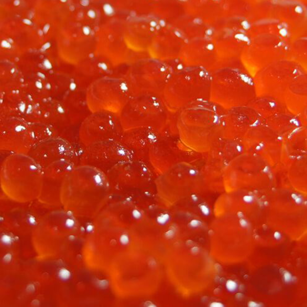 Wild Alaska Keta Salmon Ikura – Premium Red Caviar (0.5 kg).
