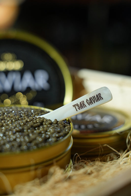 Where to Buy Authentic Caspian Sea Caviar in the USA | TSAR CAVIAR