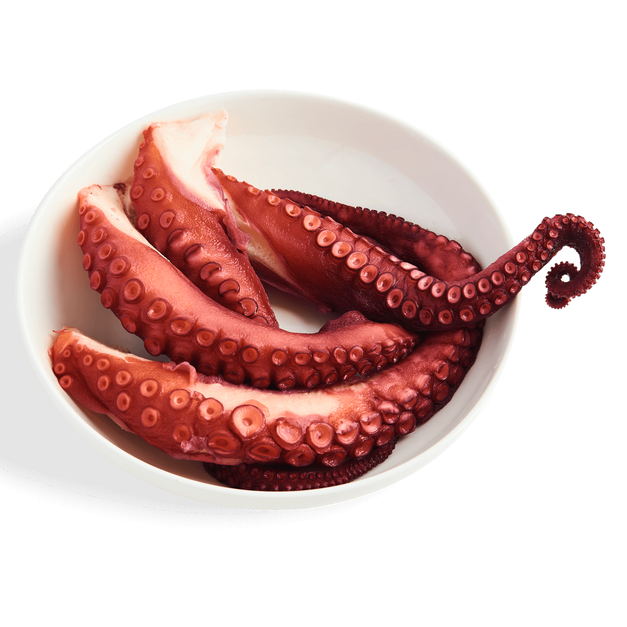 Cooked Octopus