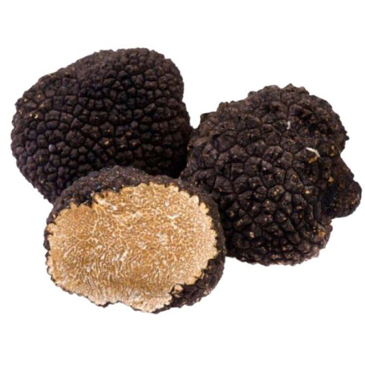 Fresh Black Truffle (Tuber Melanosporum), 1 lb (454 g)