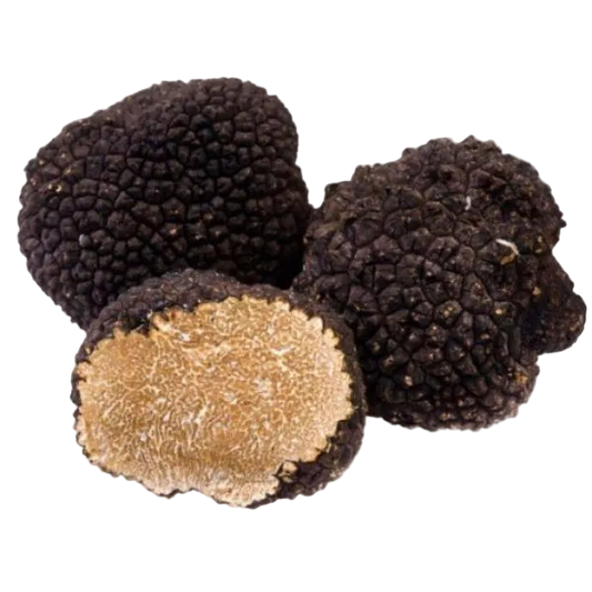 Fresh Black Truffle, Tuber Melanosporum, 454g