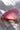 Fresh yellowfin tuna fillet steak by Artists Industries, 0.45lb (205g)