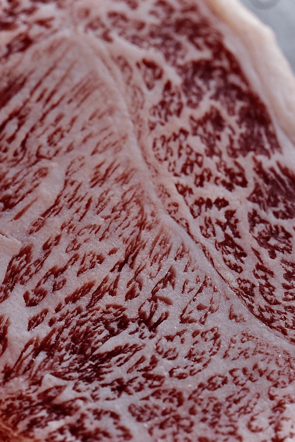 Japanese Striploin KOBE, A5 WAGYU Beef, 0.85lb(385g)