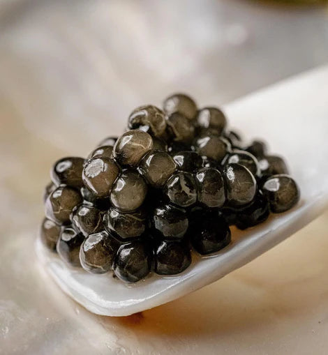 Baku Beluga Hybrid Caviar